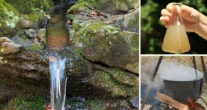 Ingenious Ways to Purify Water in the Wild