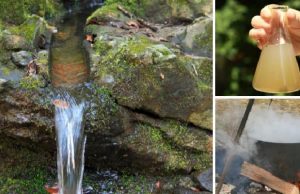 Ingenious Ways to Purify Water in the Wild