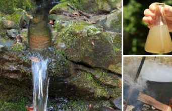 Ingenious Ways to Purify Water in the Wild