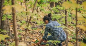 Scavenging & Foraging Fuel, Food, Water, Power, and Other Survival Resources