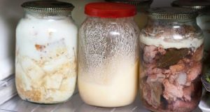 10 Foods You Should Store in Lard for a Long Shelf Life
