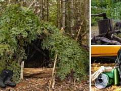 11 Must-Have Items for Your Wilderness Survival Shelter