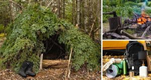 11 Must-Have Items for Your Wilderness Survival Shelter
