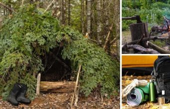 11 Must-Have Items for Your Wilderness Survival Shelter