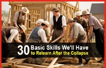 30 Basic Skills You’ll Have To Learn After The Collapse