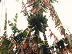 99% of You Won’t Survive a Long-Term Emergency with These 3 SHTF Plans