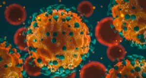 Call Me Crazy, But Was There A COVID Cover-Up?