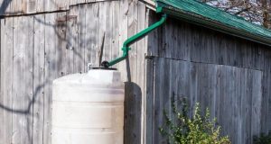 Collecting Rainwater in Rural Areas