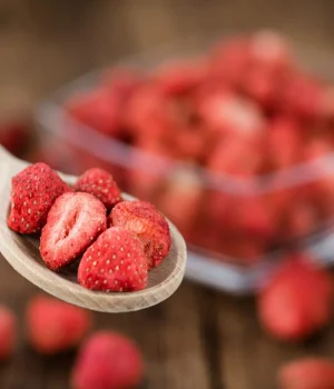 Freeze-Dried Fruit: A Tutorial