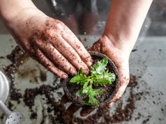 Gardening Options for the Self-Sufficient Prepper
