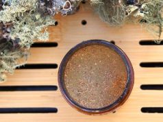Making Usnea Powder for Your Wilderness First Aid Kit