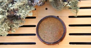 Making Usnea Powder for Your Wilderness First Aid Kit