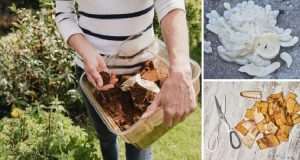 Never Throw These Away!