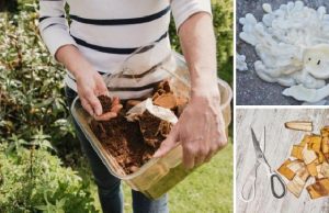 Never Throw These Away!