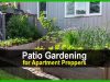 Patio Gardening for Apartment Preppers