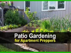 Patio Gardening for Apartment Preppers