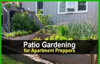 Patio Gardening for Apartment Preppers