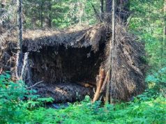 Shelter Mistakes That Can Get You Killed