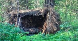 Shelter Mistakes That Can Get You Killed