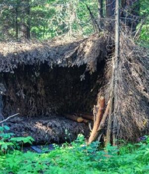 Shelter Mistakes That Can Get You Killed