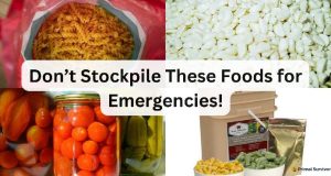 The Experts Are Wrong. Don’t Stockpile These Foods for Emergencies