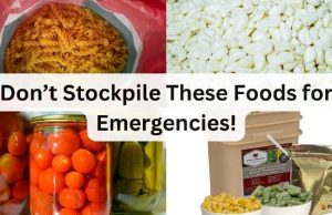 The Experts Are Wrong. Don’t Stockpile These Foods for Emergencies