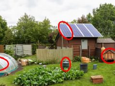 These Backyard Projects Might Get Banned in the Future