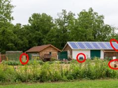 This Is What Your Neighbor Might Already Know About You