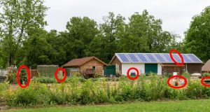 This Is What Your Neighbor Might Already Know About You