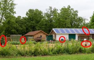 This Is What Your Neighbor Might Already Know About You