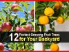 12 Fastest Growing Fruit Trees for Your Backyard