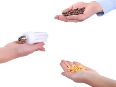 Bartering Your Skills in a Post-Disaster World