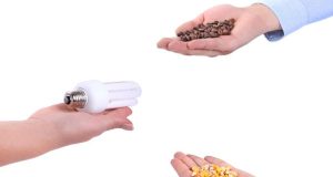 Bartering Your Skills in a Post-Disaster World