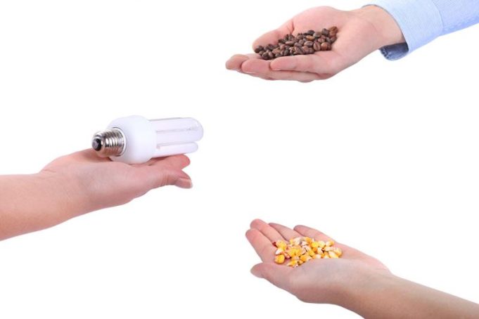 Bartering Your Skills in a Post-Disaster World