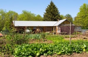 Do This Before the End of Spring