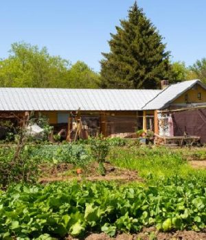 Do This Before the End of Spring