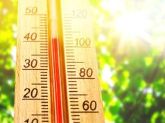 How to Store Food in a Hot Climate