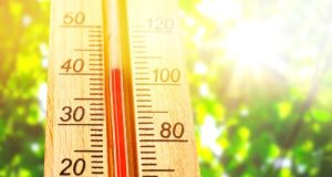 How to Store Food in a Hot Climate