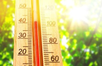 How to Store Food in a Hot Climate