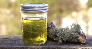 Making Usnea Oil: A Functional Friend for Field and Hearth