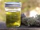 Making Usnea Oil: A Functional Friend for Field and Hearth