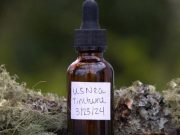 Making Usnea Tincture for a Healthy Homestead When SHTF
