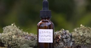 Making Usnea Tincture for a Healthy Homestead When SHTF
