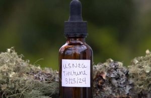 Making Usnea Tincture for a Healthy Homestead When SHTF