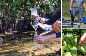 Survival Skills You Can Trade After SHTF