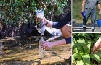 Survival Skills You Can Trade After SHTF