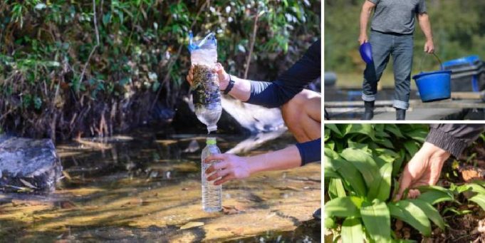 Survival Skills You Can Trade After SHTF